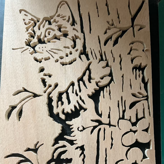 Chat grimpant à un arbre 