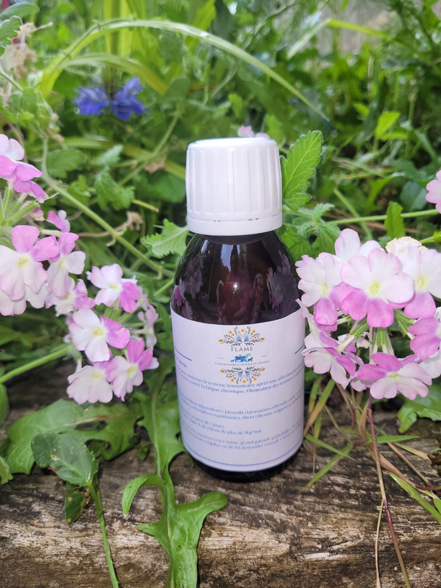 Lime pirox Chats/Chiens