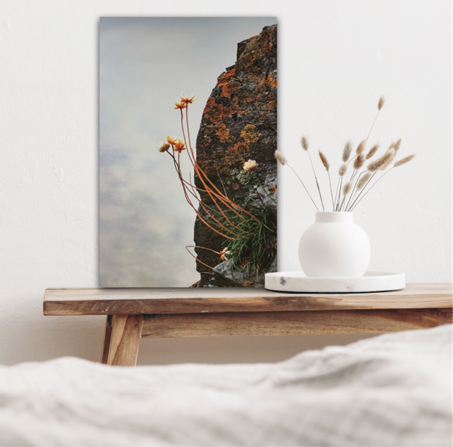 Jess Ward - With Gratitude