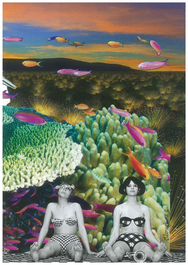 Les petites marguerites 2