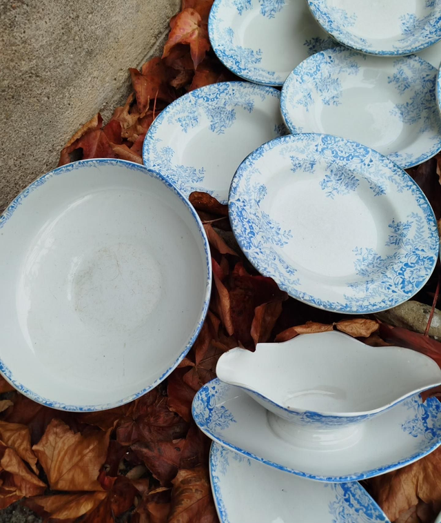 Assiette creuse St Amand 