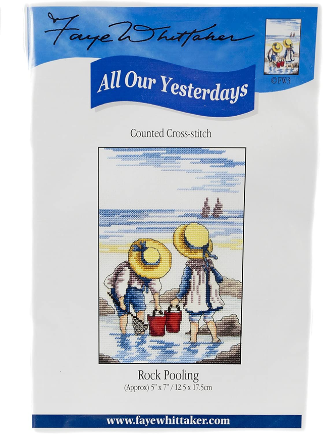 Faye Whittaker All Our Yesterdays Rock Pooling (Cross Stitch Kit) 12.5 x 17.5 cm