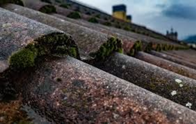 Dak lekkage's (Uur tarief)