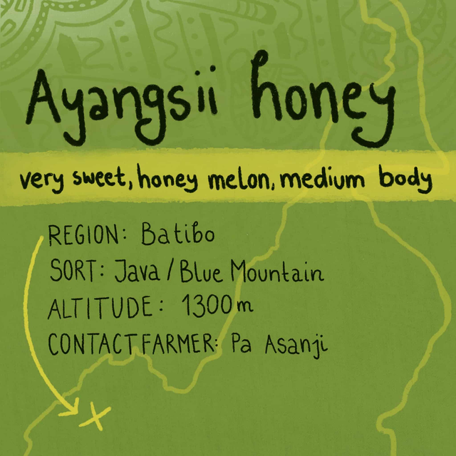 Ayangsii Honey