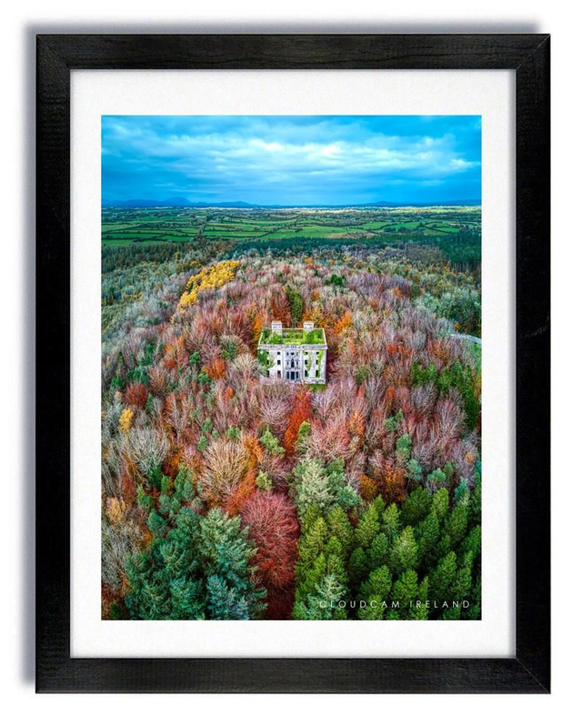 Moore Hall | Autumn | Mayo