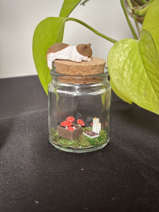 đ Mini terrarium verre - Ădition automne - Petit chat