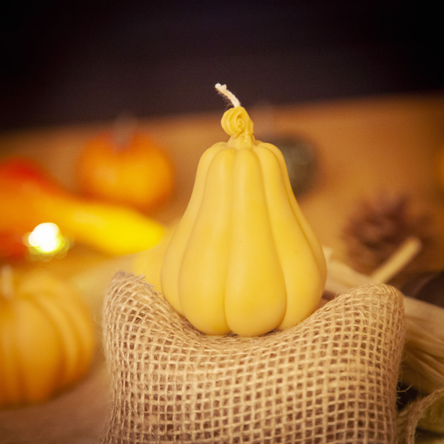 Pumkin Squash - Bougie d'automne à la cire végétale