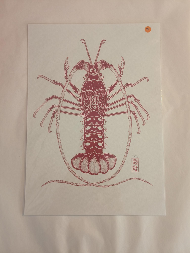 A4 homard rouge