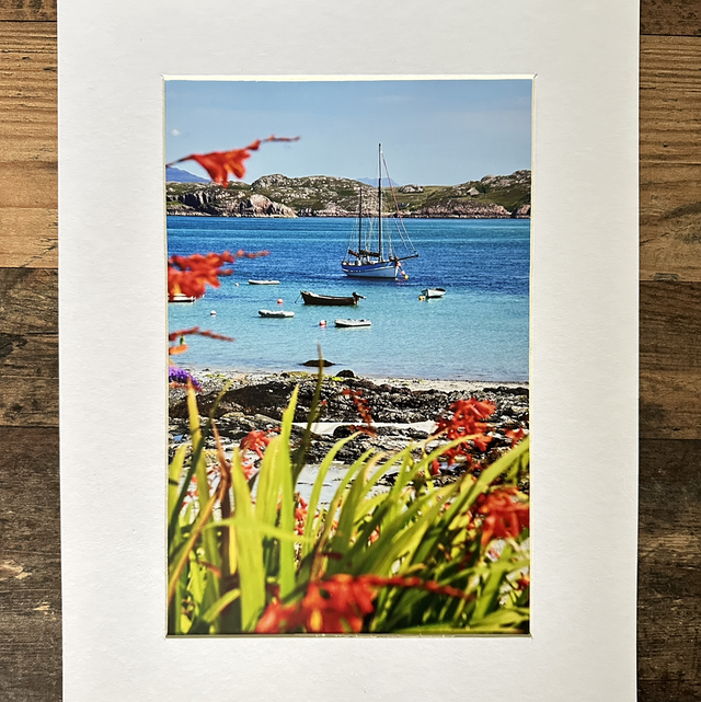 Summer in Iona Mounted Photo