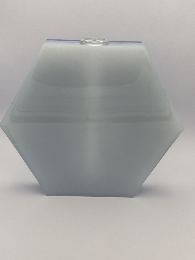 Hexagonal Bloom Resin Propagation Vase
