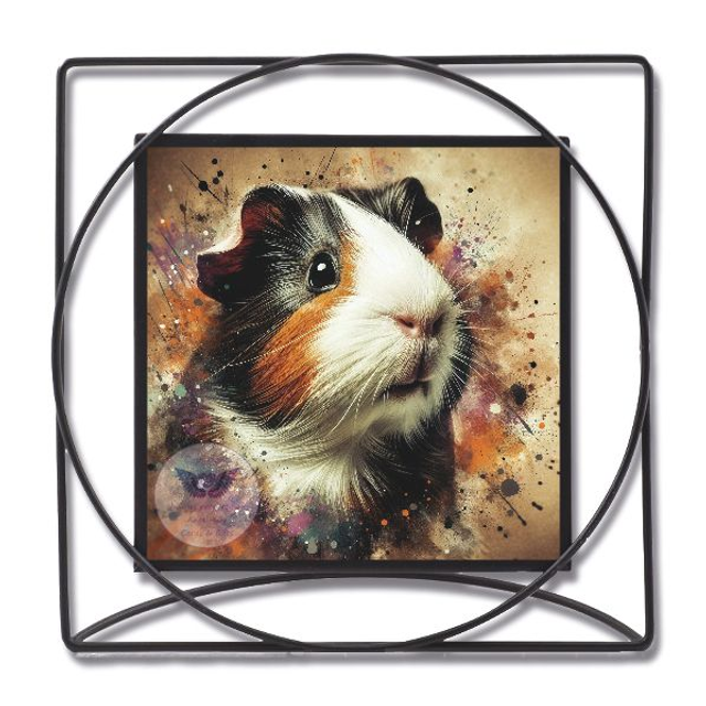 Artistic image of guinea pig in square frame (GP03)