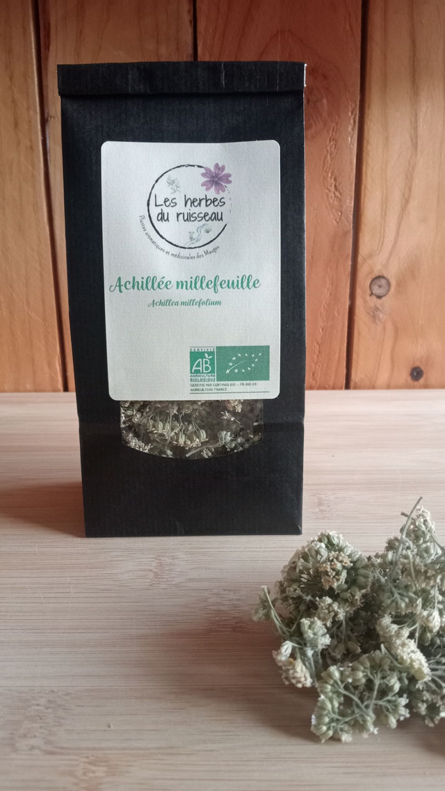Achillée millefeuille
