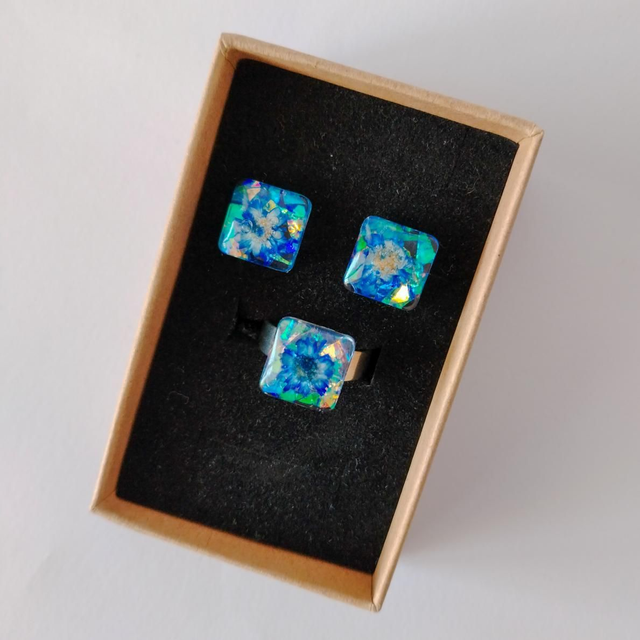 Conjunto Floralis azul 