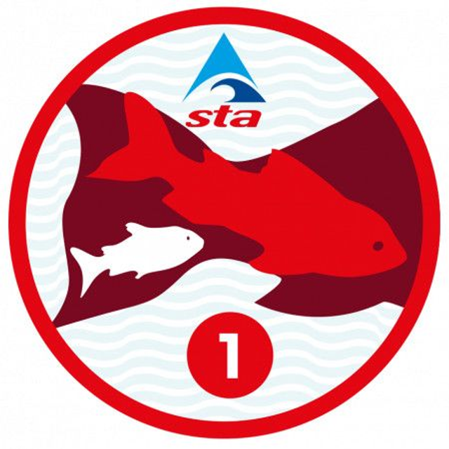 Goldfish 1 - Certificate with Badge