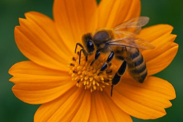 26/05/29 WortSpielRaum: „Wachsen & Wundern – Maiworte im Aufwind“ 