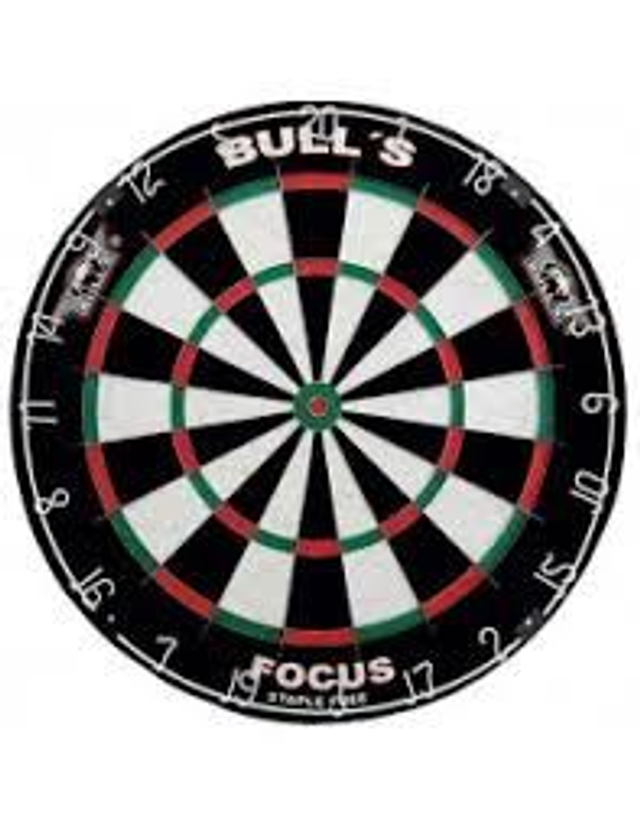 Bulls Focus Dartboard