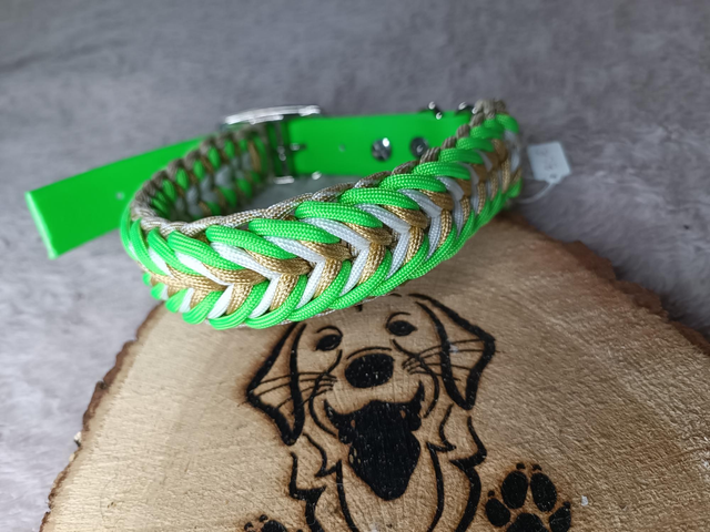 Dream vert néon / blanc /or 31/38 cm