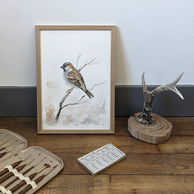 "Le voisin oublié" - Aquarelle originale