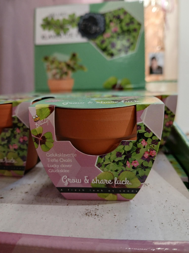 Klavertje 4 in potje