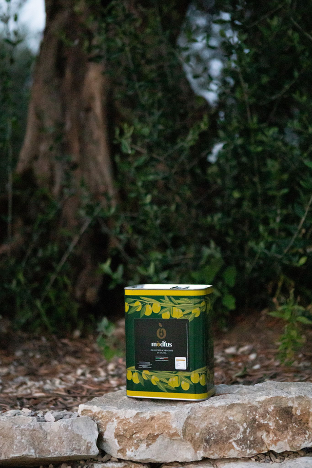 Olio EVO Lattina 3 Litri | Mòdius 