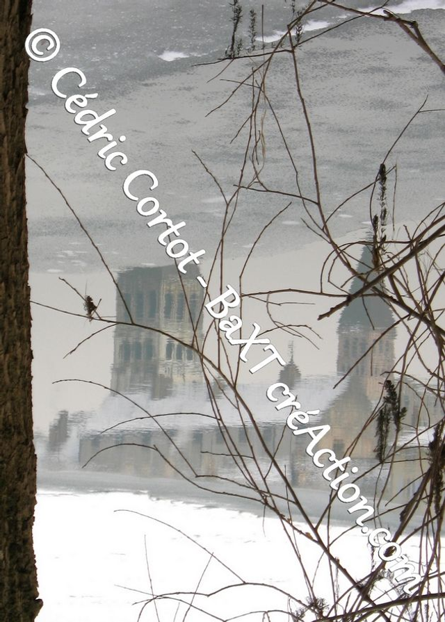 Carte postale - Reflets et cours d'Eau (Ref IMG_0273)