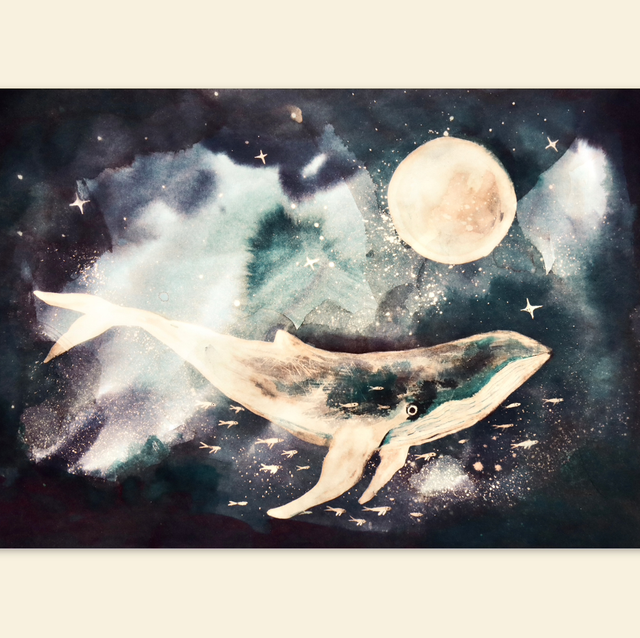 CONSTELLATION DE LA BALEINE 