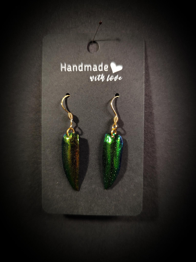 Boucles d&#039;oreilles Elytres de coléoptère
