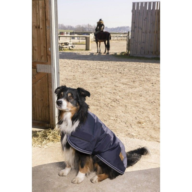 COUVERTURE DIEGO &amp; LOUNA 600D POUR CHIEN