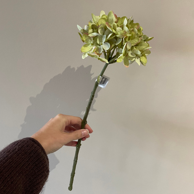 Single dry-look hydrengeac groen