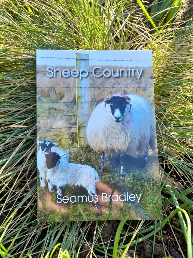 Sheep Country by Seamus Bradley 