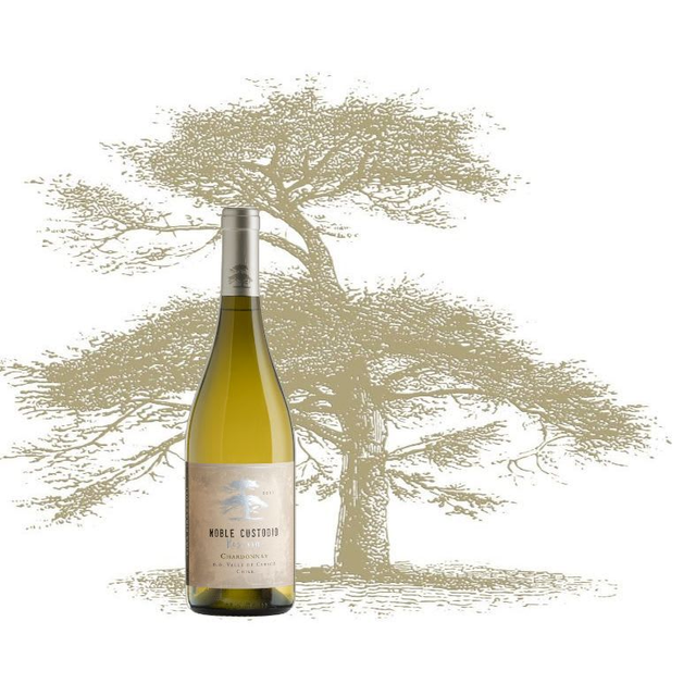 Caja Chardonnay Reserva - 6 UN