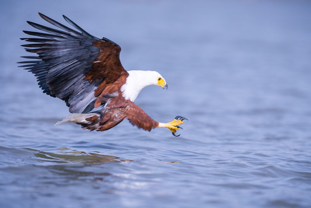 Tirage d'art : Bonne Pêche