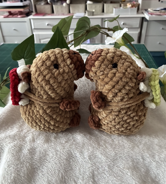 Capybara mit Schildkröte