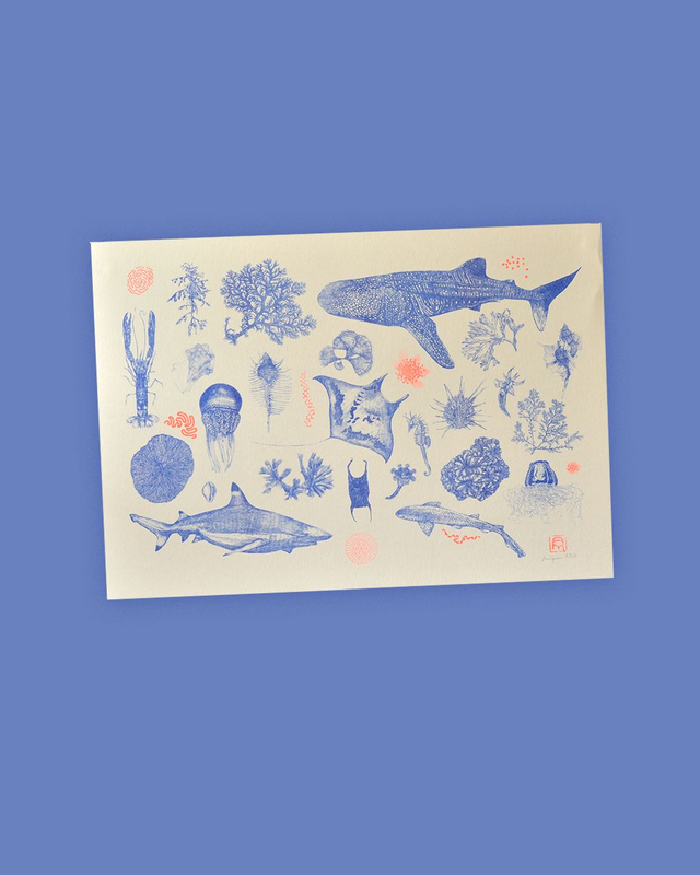 Affichette A4 Neon ocean