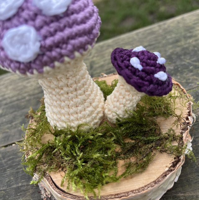 Purple crochet mushroom duo