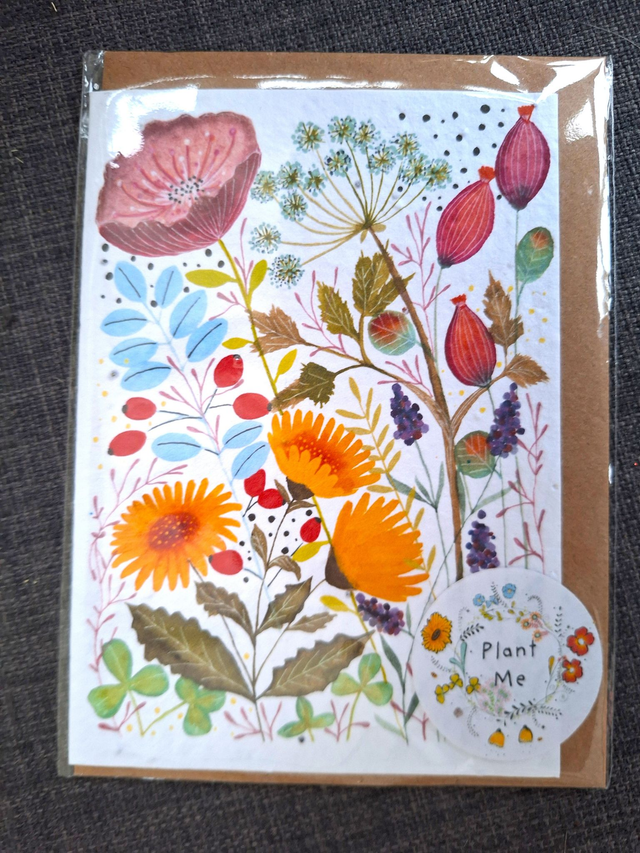 Seed greeting card - wild flowers mixed