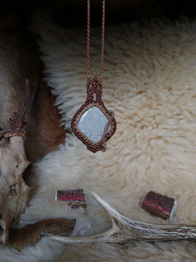 Récif du Passé – Corail fossilisé