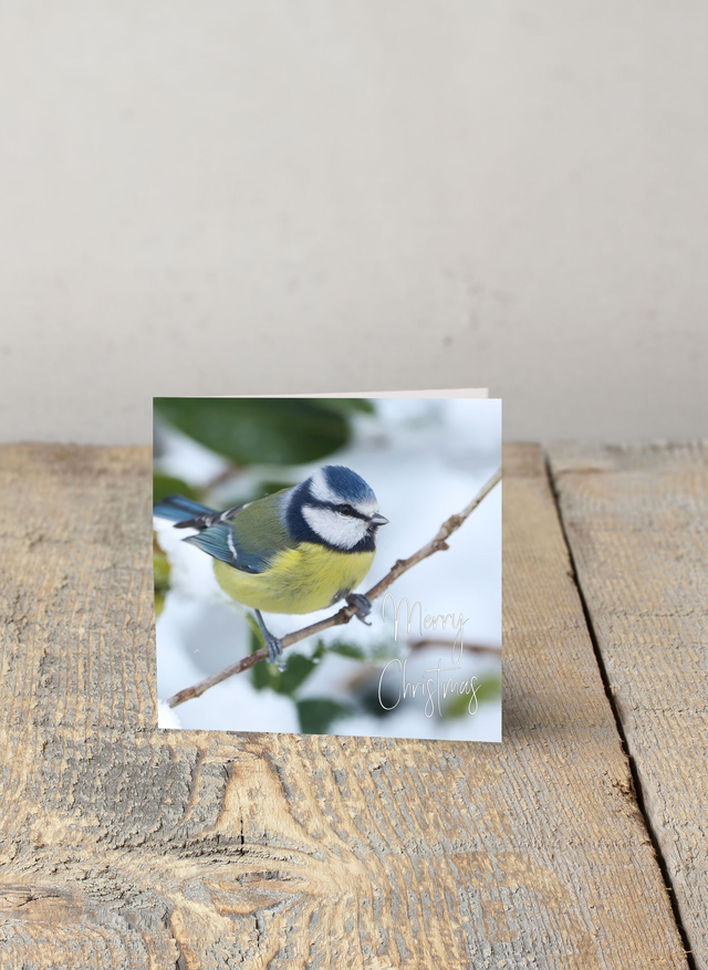 "Beatrice Blue tit in the Snow” Christmas Card 