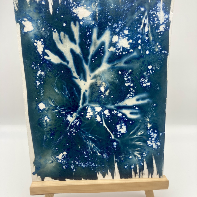 Original Wet Cyanotype 