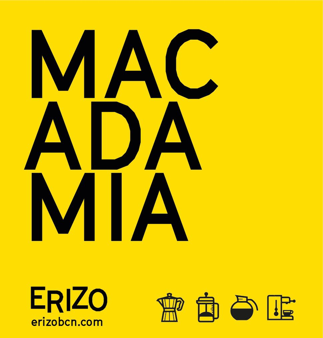 Macadamia