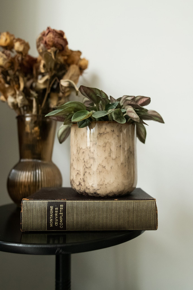 Latte Macchiato ☕ Cache-pot