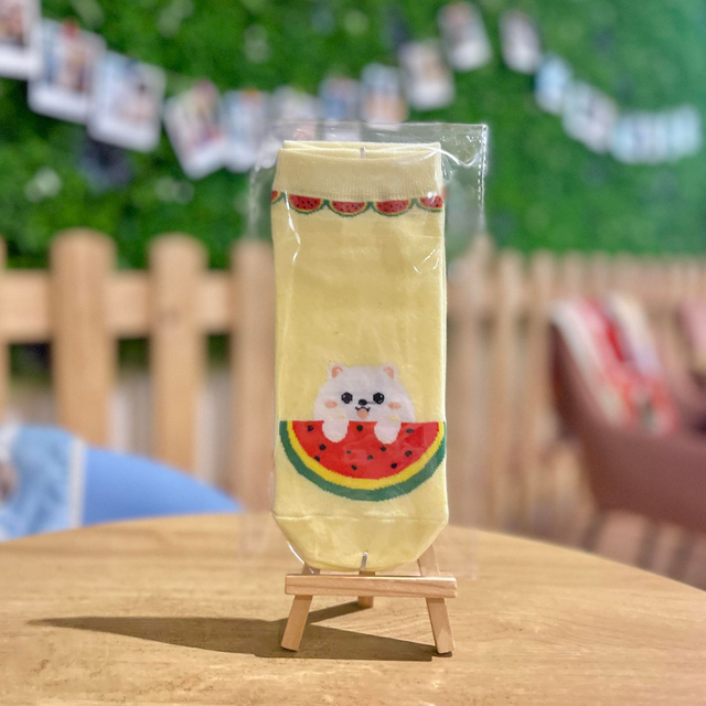 Pomeranian Socks (watermelon)