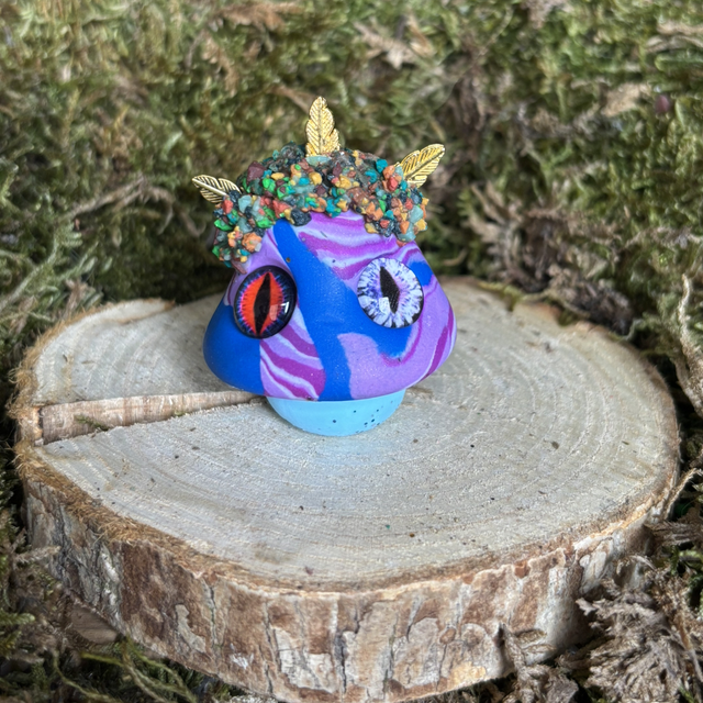 Champignon 31