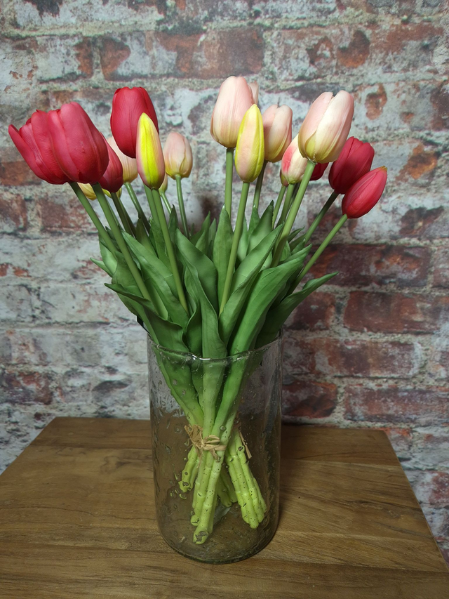 Tulp Countryfield lichtroze, maat M