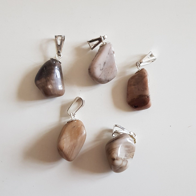 Bois Fossilisé / pierre semi-précieuse