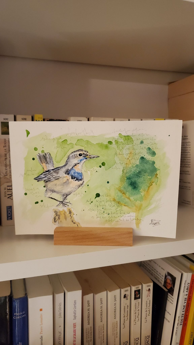 [1894] Gorgebleue à miroir