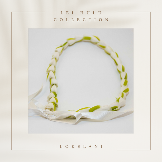 Lei Hulu  / Collier en plume /Feather Lei - Lokelani