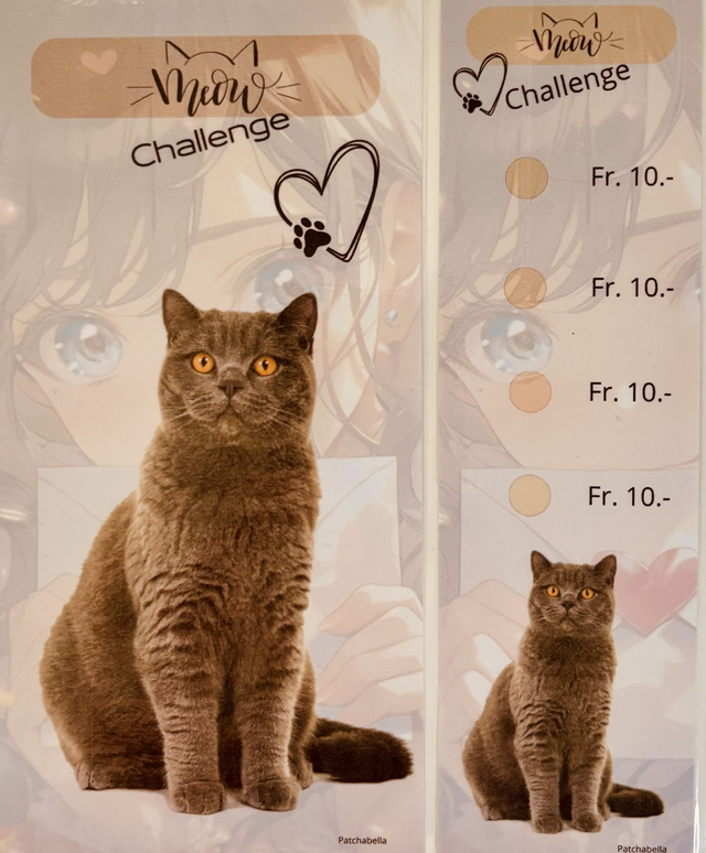 Miaou 4
