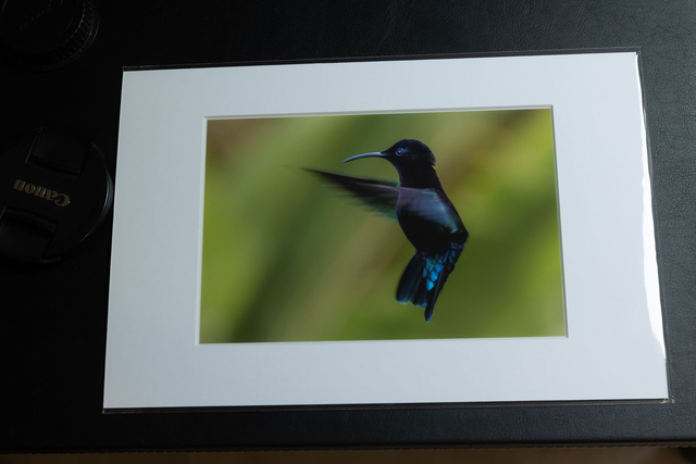 Tirage illimité Azurite avec passe-partout 