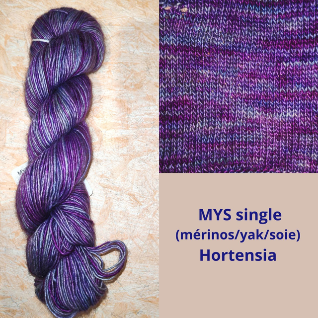 MYS single Hortensia